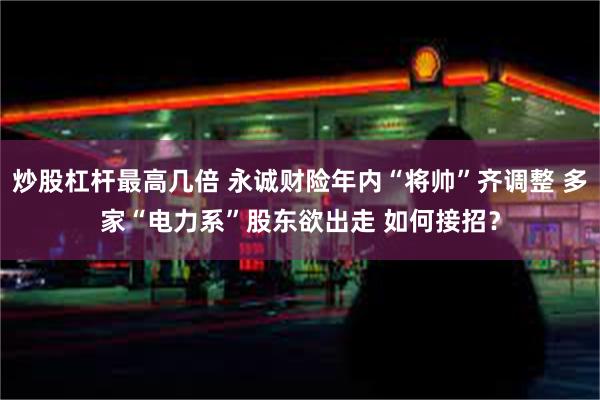 炒股杠杆最高几倍 永诚财险年内“将帅”齐调整 多家“电力系”股东欲出走 如何接招？