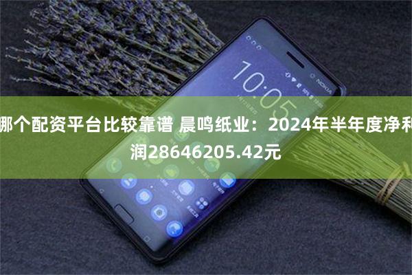 哪个配资平台比较靠谱 晨鸣纸业：2024年半年度净利润28646205.42元