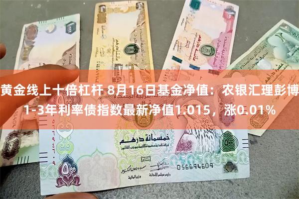 黄金线上十倍杠杆 8月16日基金净值：农银汇理彭博1-3年利率债指数最新净值1.015，涨0.01%