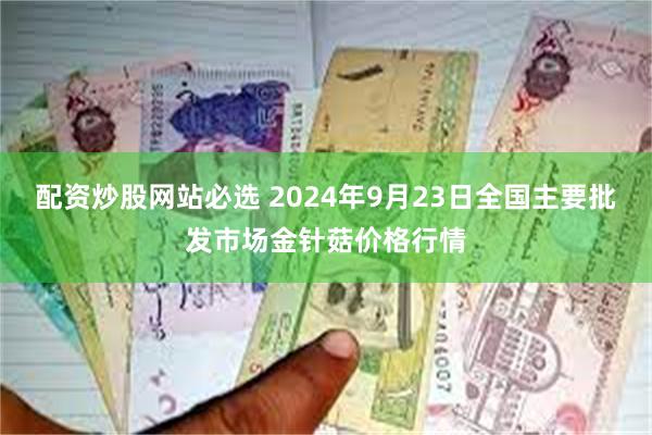 配资炒股网站必选 2024年9月23日全国主要批发市场金针菇价格行情