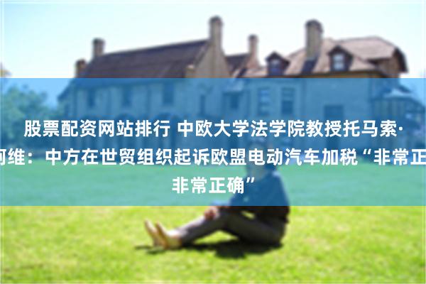 股票配资网站排行 中欧大学法学院教授托马索·索阿维：中方在世贸组织起诉欧盟电动汽车加税“非常正确”