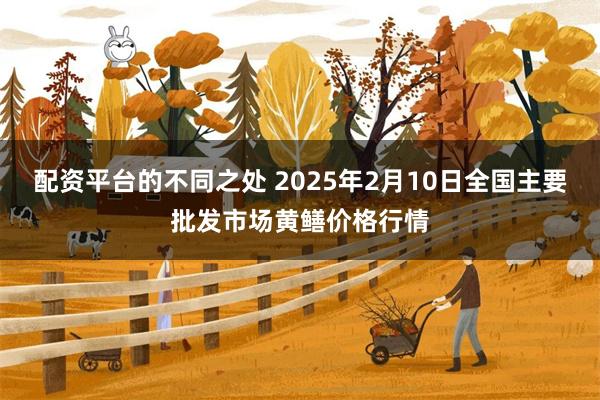 配资平台的不同之处 2025年2月10日全国主要批发市场黄鳝价格行情